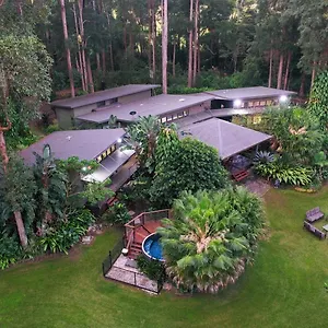 Dezen Palmview